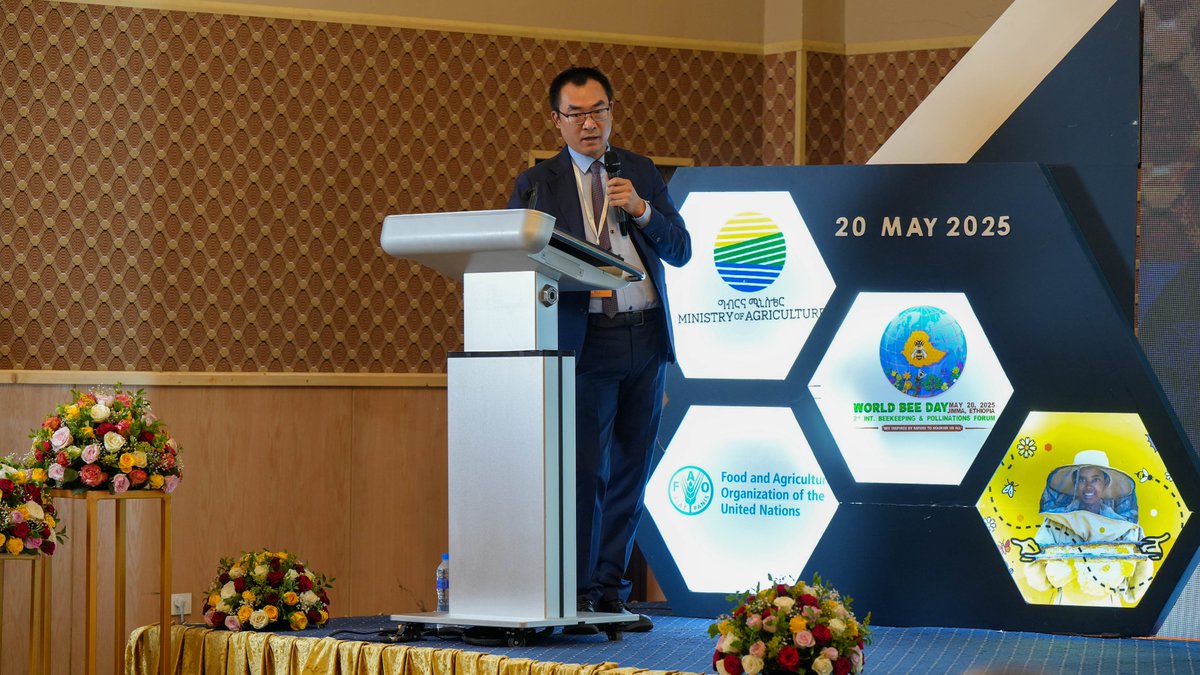FAOEthiopia's tweet photo. Day 2 of #WorldBeeDay Forum buzzes with insights on transforming indigenous beekeeping into modern tech &amp; sustainable practices. Bees are vital for #OneHealth, ecosystem balance &amp; a healthy environment. Urban beekeeping &amp; value chain quality assurance are also under discussion. https://t.co/z86uinmyYe