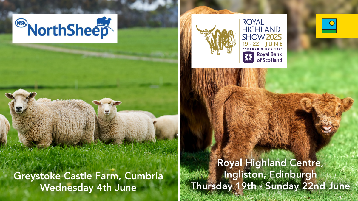 Barenbrug UK (@barenbruguk) on Twitter photo 🐑 2 weeks to go — <a href="/natsheep/">National Sheep Association</a> #NorthSheep event!
Join us at Greystoke Castle Farm for top trade stands, demos, tours & more.
📍 See Barenbrug's agri experts for #grassland & #forage advice.
🎟 Tickets → northsheep.org.uk
🐄 1 month to go — <a href="/ScotlandRHShow/">Royal Highland Show</a>!
Celebrate the 🐑 2 weeks to go — <a href="/natsheep/">National Sheep Association</a> #NorthSheep event!
Join us at Greystoke Castle Farm for top trade stands, demos, tours & more.
📍 See Barenbrug's agri experts for #grassland & #forage advice.
🎟 Tickets → northsheep.org.uk
🐄 1 month to go — <a href="/ScotlandRHShow/">Royal Highland Show</a>!
Celebrate the
