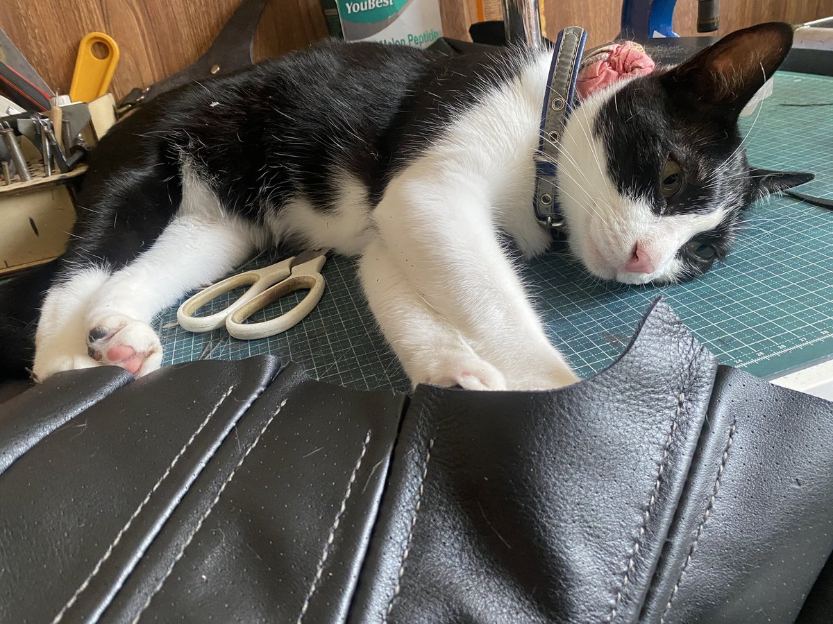 這位帥哥⋯⋯能不能不要每次我要做事時你就硬要來卡位！？