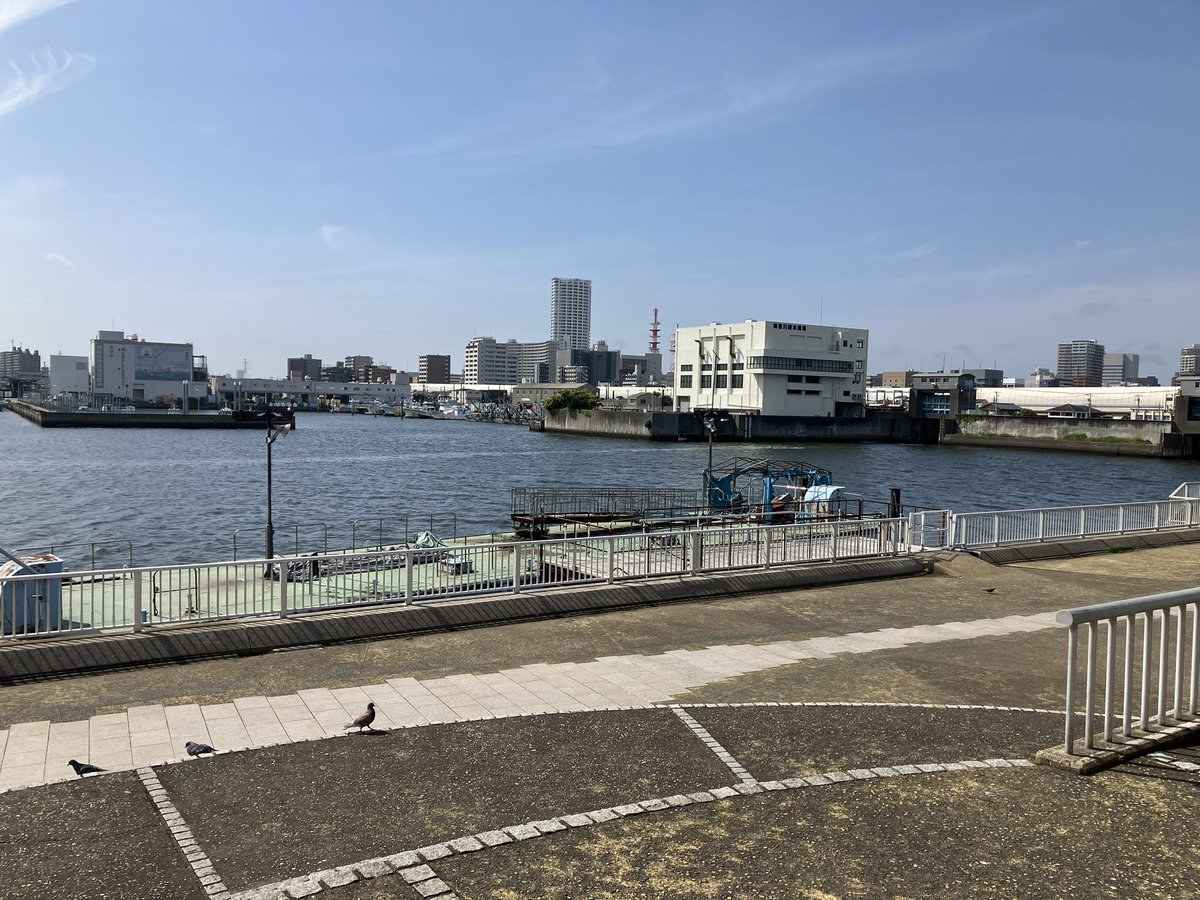funabasiport_sp's tweet photo. 本日の船橋港親水公園

暑くなってきましたね。
空も夏の空になってきました。

#船橋港親水公園 https://t.co/HS16YAMa5k