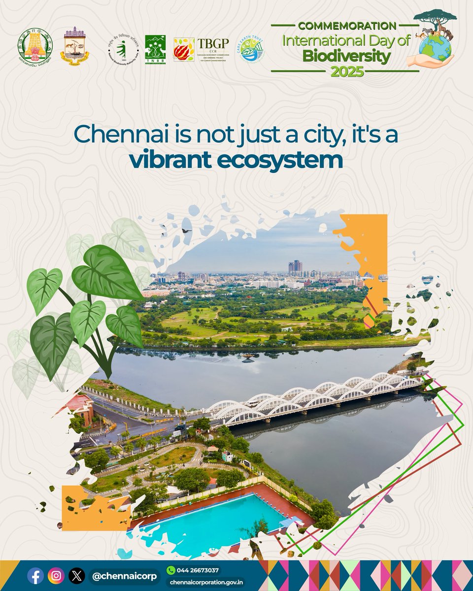 🌱🐬 GCC commemorates International Day of Biodiversity along with the TN Forest Department and Care Earth Trust 🌿✨

Chennai isn’t just a city — it’s a living, breathing biodiversity poem. 🐢🌳

 Let’s protect our marshes, celebrate our native trees, and keep Chennai green and