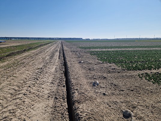 Infiltratiegreppels maken: hoe pak je het aan?

Infiltratiegreppels kunnen afspoeling van gewasbescherming voor een flink deel voorkomen. 

Lees onze tips: agro.bayer.nl/nieuws-en-alge…