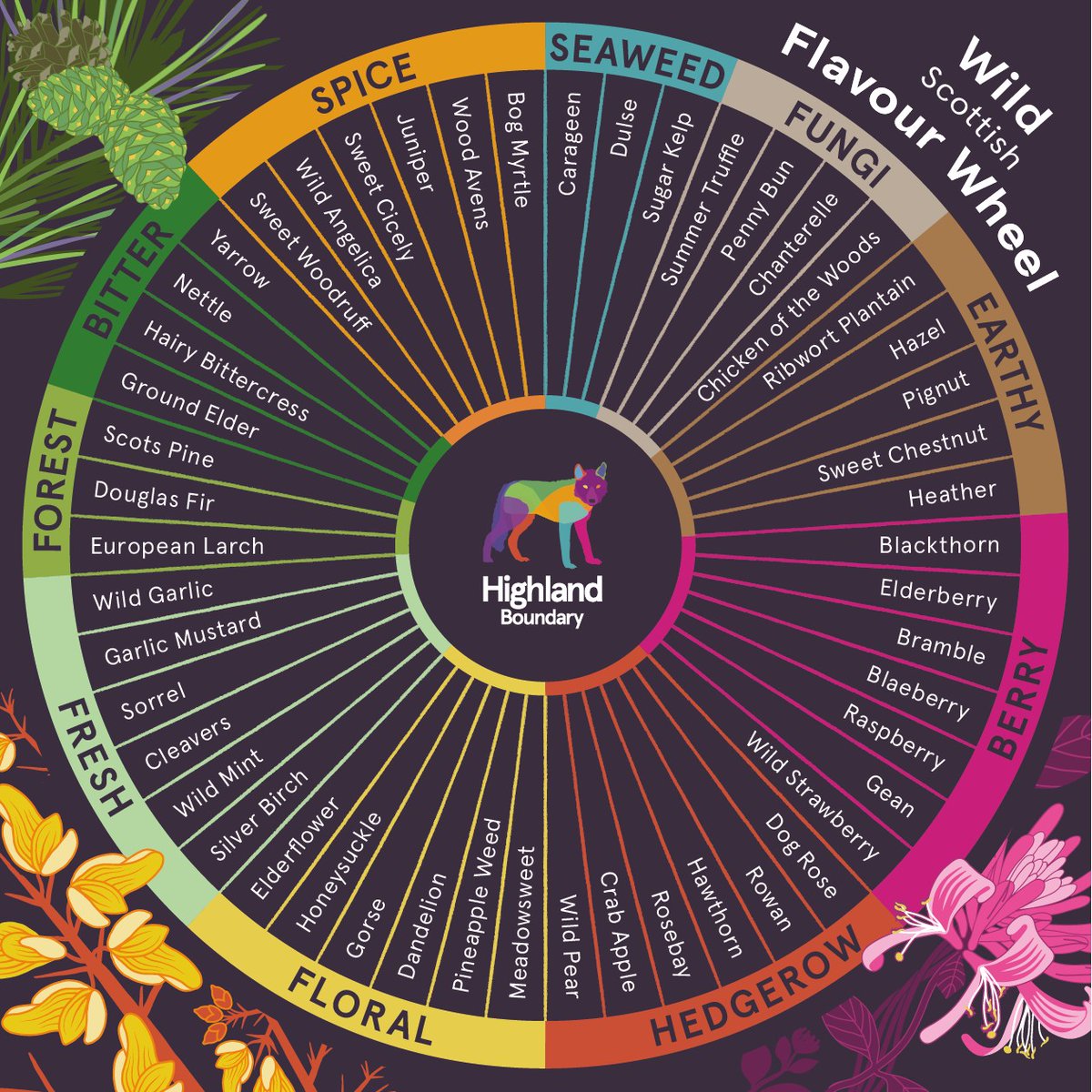 🌿 Help Rediscover Scotland’s Lost Wild Flavours! 🌿
Dr. Marian Bruce is reviving Scotland’s forgotten tastes with The Wild Scottish Flavour Wheel—and she needs your input! 🍃✨
Share your: 📝 Thoughts 📖 Folklore &amp; 🍽️ Family recipes.
🔗 ow.ly/SPIX50VVLlM