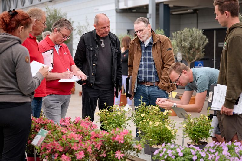 Hydrangea macrophylla ‘BC2402AC’ (ARCTIC CIRCLE) Wins Green Retail Award for Best Novelty - buff.ly/xqU4EEP #Hydrangea award