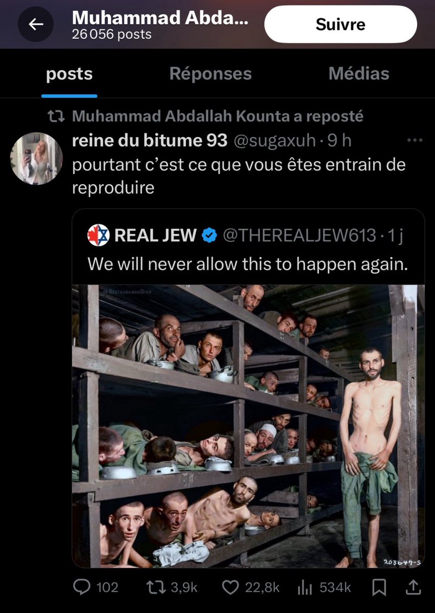 SwordOfSalomon tweet media