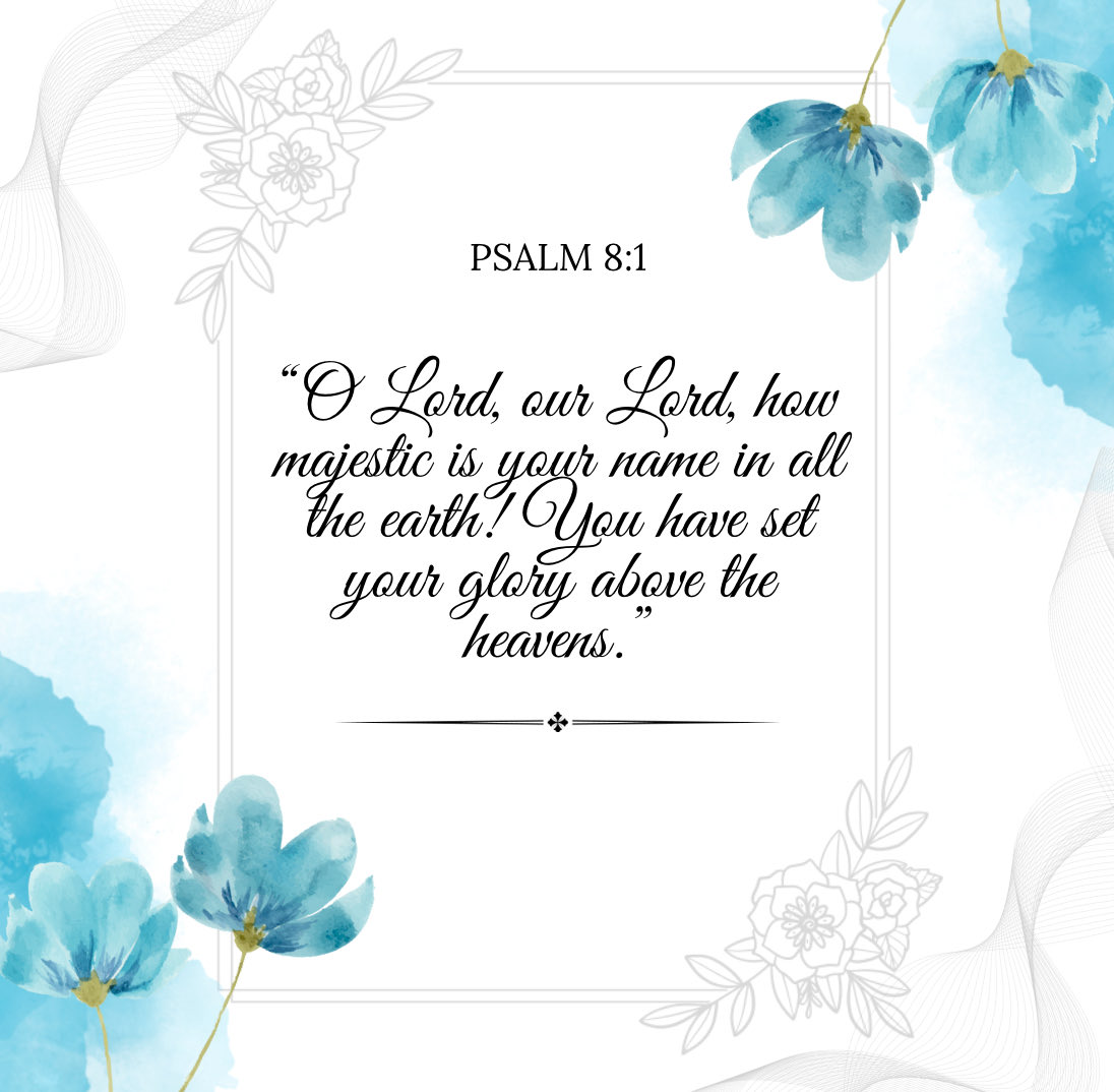 Tonya Roberts Raines (@tonyarraines) on Twitter photo 