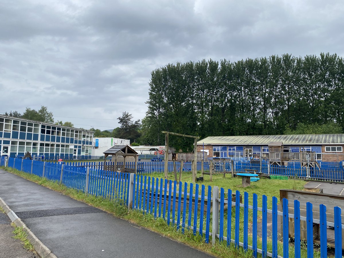 Maendy Primary tweet media