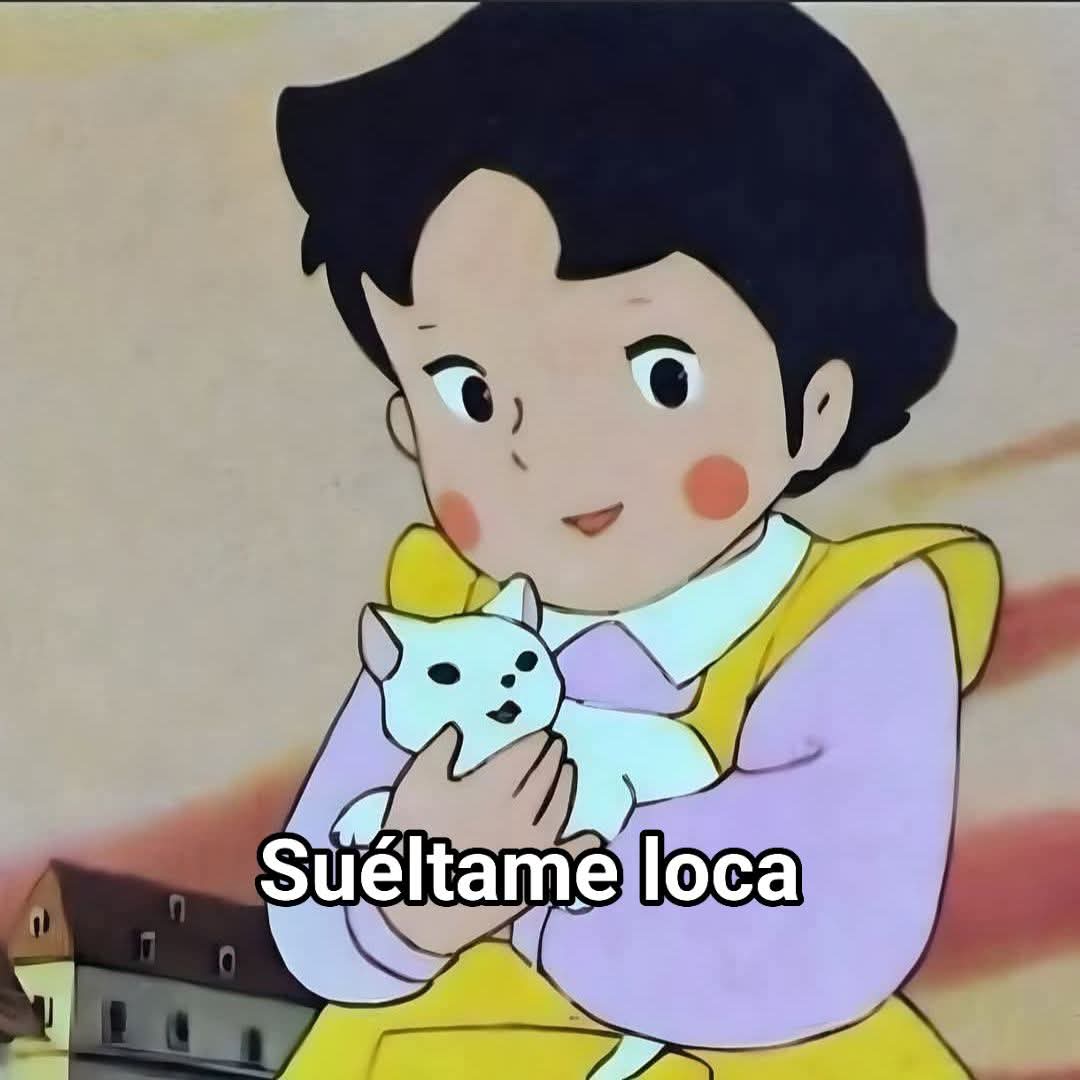 Yo dándole amor a mi gato. 

Mi gato: