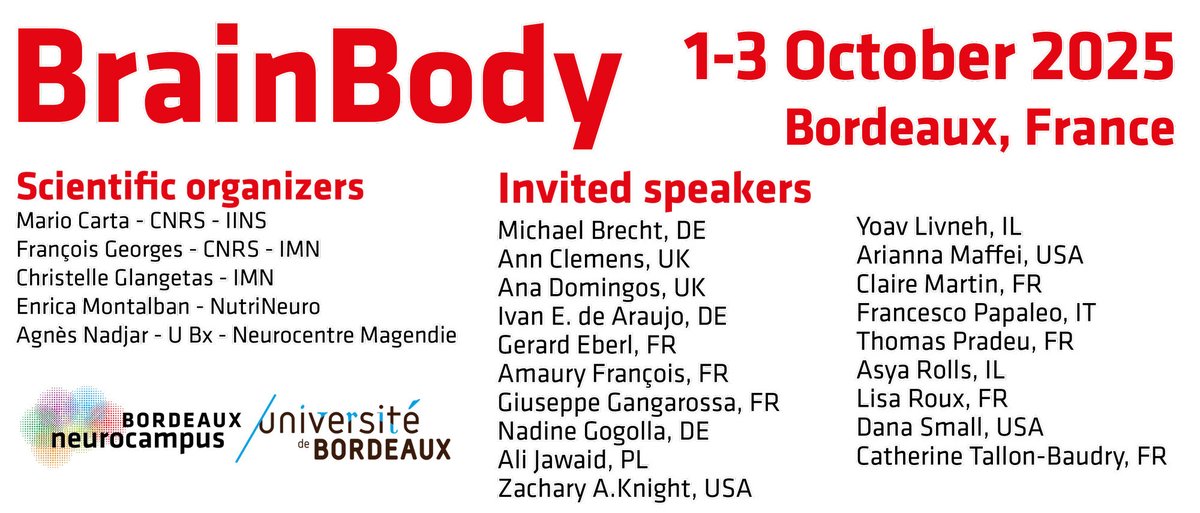 Interdisciplinary Institute for Neuroscience 🧠 (@iins_bordeaux) on Twitter photo 📣Do not miss next <a href="/Neuro_Bordeaux/">Bordeaux Neurocampus</a> international conference BrainBody!
It will explore the bidirectional crosstalk between the central nervous system and the body.
📅01-03/10
📍Bordeaux, France
📝Abstract submission and early bird registration: 01/06
brainconf.u-bordeaux.fr/en/ 📣Do not miss next <a href="/Neuro_Bordeaux/">Bordeaux Neurocampus</a> international conference BrainBody!
It will explore the bidirectional crosstalk between the central nervous system and the body.
📅01-03/10
📍Bordeaux, France
📝Abstract submission and early bird registration: 01/06
brainconf.u-bordeaux.fr/en/