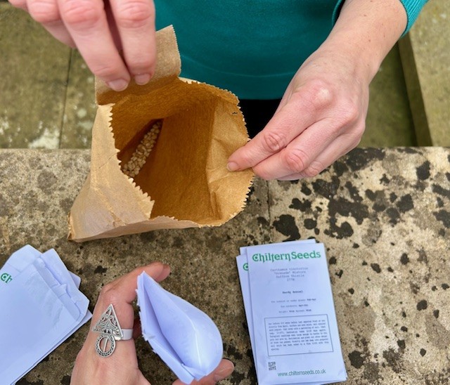 theUL's tweet image. Our brand-new Dye Garden is coming to life! With guidance from colleagues across the UL, and @CUBotanicGarden, our Conservation team has planted traditional dye plants once used in manuscript painting. 🎨

#CambridgeUniversityLibraries #CULconservation #DyeGarden