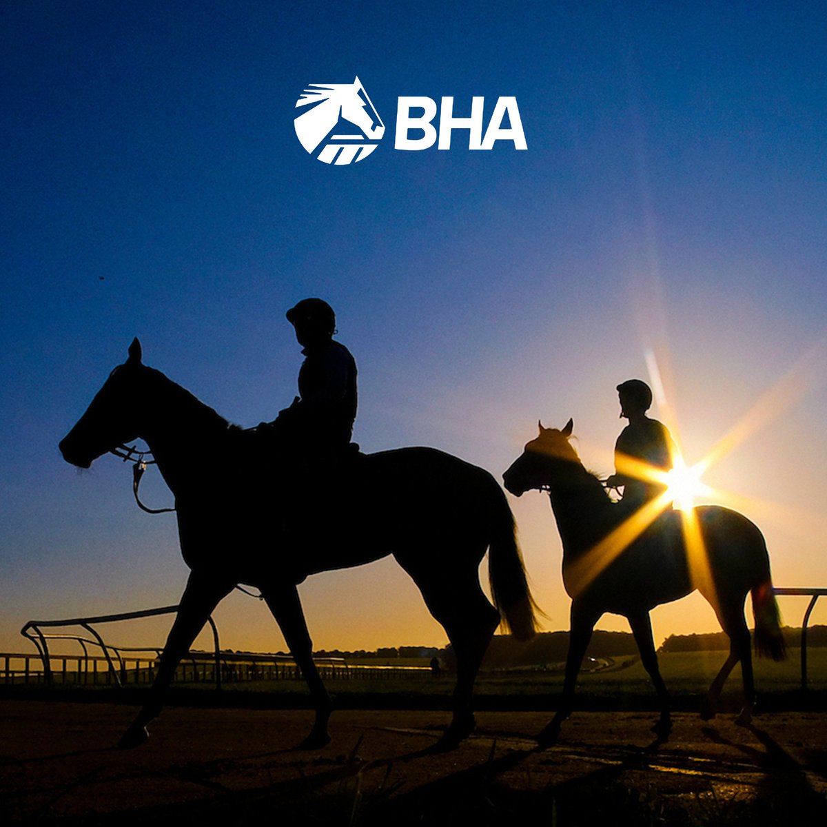 📝 HMT plans to harmonise gambling taxes and positive changes to rules around temporary admissions for Thoroughbreds – read an update from our Corporate Affairs team here

🔗 britishhorseracing.com/corporate-affa…