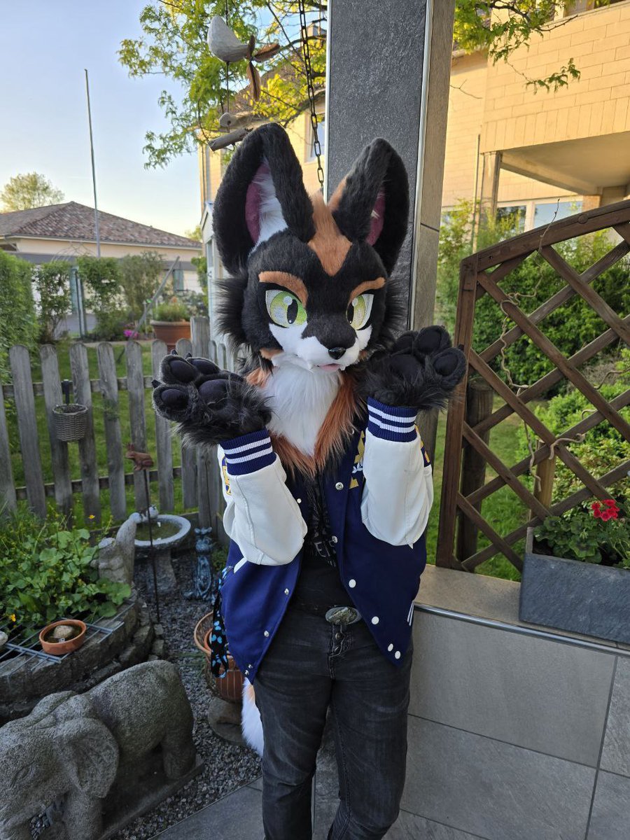 I dunno man, I'm just a fox 🦊