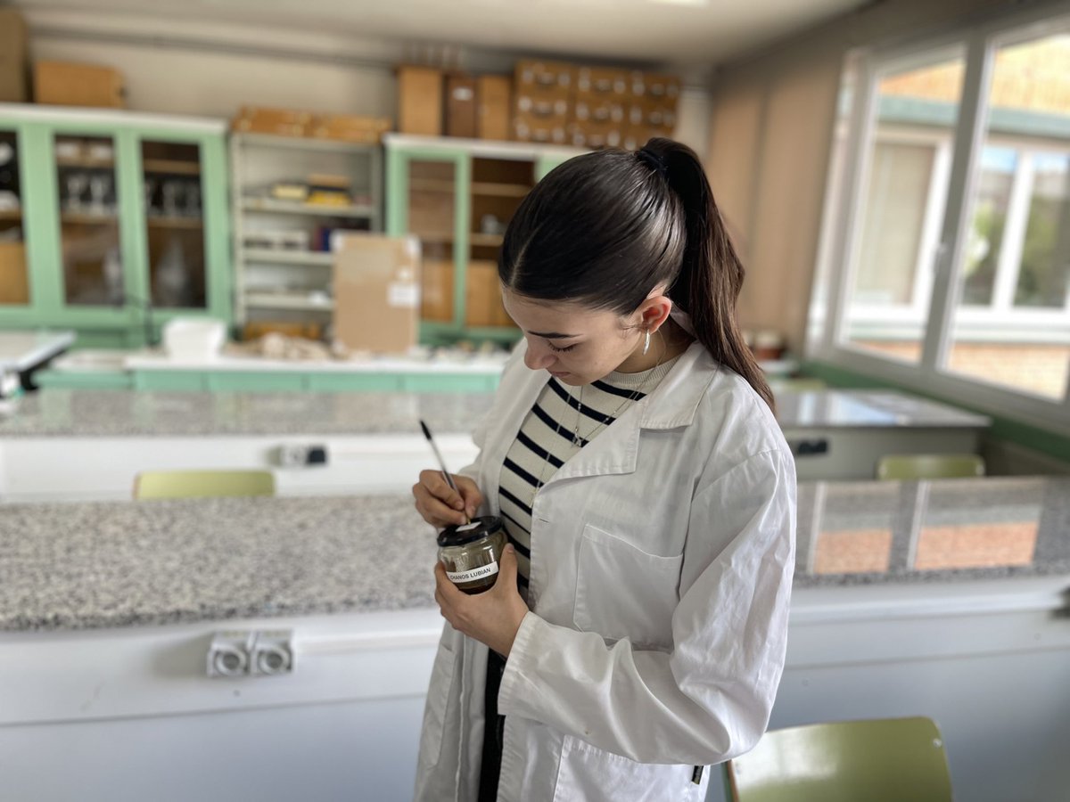 🍯🔬 Nerea y María, del BIE1, investigan el origen y la calidad de las mieles de la comarca de Benavente y Los Valles a través de análisis polínico y organoléptico. 🐝🌼
#BIE #somosBIEsomosCiencia #proyectomieles #ieslossauces #benavente #unileon <a href="/sauces49000391/">IES LOS SAUCES</a> <a href="/unileon/">Universidad de León</a>