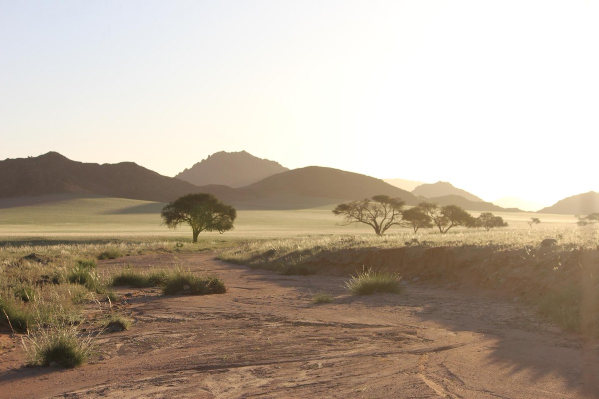 Golden grass sways beneath a clear sky, where silence speaks and the wind tells ancient stories.
Here at Kanaan Desert Retreat, time slows…and the soul finds stillness.

A place where wild meets wonder. #Kanaan #Naankuse