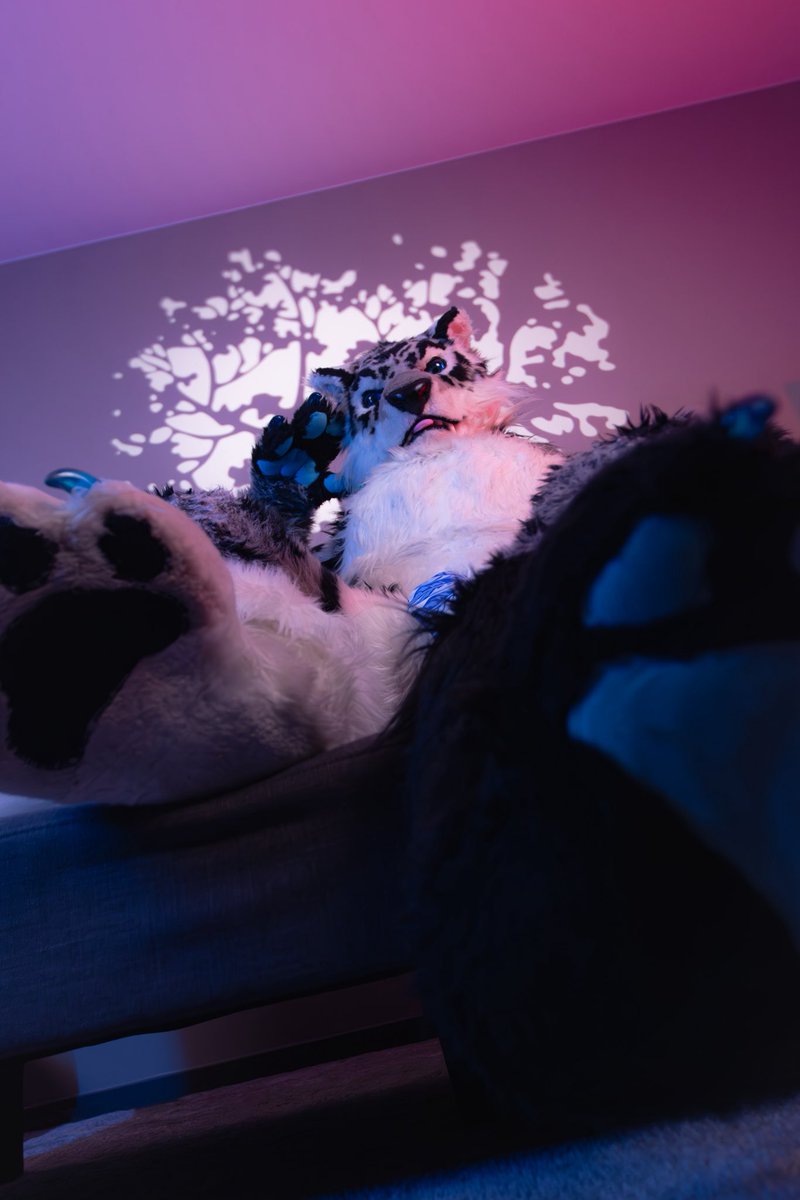 Happy #PawDay ❄️🐆

📸: <a href="/dragon_ranga/">張小勤(蒼嵐)🔜🐾Infurnity 2025🐾</a>