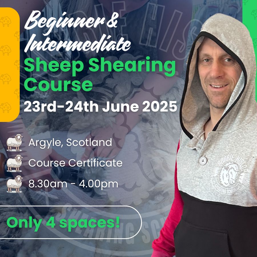 SHEARINGSCHOOL's tweet image. Beginner or brushing up?

Join Robbie in Argyle 23–24 June.

Learn to shear fast, clean &amp;amp; smart. Only 3 spots left. Gear &amp;amp; lunch sorted.

shearingschool.co.uk/product/2-day-… 

#SheepShearingCourse #FarmSkills #RobbieHislop