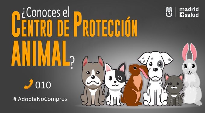 Ayuntamiento Madrid (@madrid) on Twitter photo 📢Si quieres adoptar una mascota 🐶😺 te recordamos que puedes hacerlo en el Centro de Protección Animal
✅Puedes ver los animales disponibles visitando la web de <a href="/madridsalud/">Madrid Salud. Ayuntamiento de Madrid</a>
👉informate.madrid.es/o7e2b53
#AdoptaNoCompres 📢Si quieres adoptar una mascota 🐶😺 te recordamos que puedes hacerlo en el Centro de Protección Animal
✅Puedes ver los animales disponibles visitando la web de <a href="/madridsalud/">Madrid Salud. Ayuntamiento de Madrid</a>
👉informate.madrid.es/o7e2b53
#AdoptaNoCompres