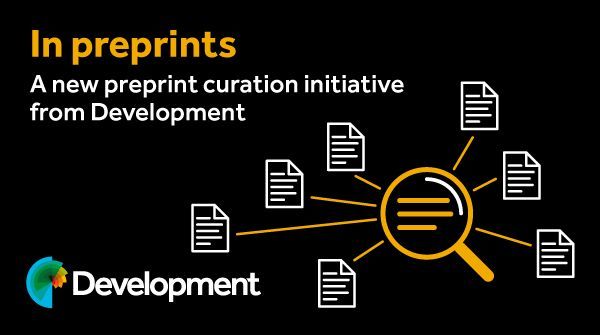 Development (@dev_journal) on Twitter photo In preprints: exploring developmental robustness and timing with gastruloids
Yonit Maroudas-Sacks, <a href="/Marc_Trani_/">Marc Trani</a> and <a href="/jvveenvliet/">jesse veenvliet @jesseveenvliet.bsky.social</a> <a href="/teamstembryo/">teamstembryo</a> discuss three #preprints from the groups of <a href="/viktri08/">Vikas Trivedi</a> <a href="/AlexandreMayran/">@alexandremayran.bsky.social</a> and <a href="/AMartinezArias/">Alfonso Martinez Arias</a>:
journals.biologists.com/dev/article/15… In preprints: exploring developmental robustness and timing with gastruloids
Yonit Maroudas-Sacks, <a href="/Marc_Trani_/">Marc Trani</a> and <a href="/jvveenvliet/">jesse veenvliet @jesseveenvliet.bsky.social</a> <a href="/teamstembryo/">teamstembryo</a> discuss three #preprints from the groups of <a href="/viktri08/">Vikas Trivedi</a> <a href="/AlexandreMayran/">@alexandremayran.bsky.social</a> and <a href="/AMartinezArias/">Alfonso Martinez Arias</a>:
journals.biologists.com/dev/article/15…