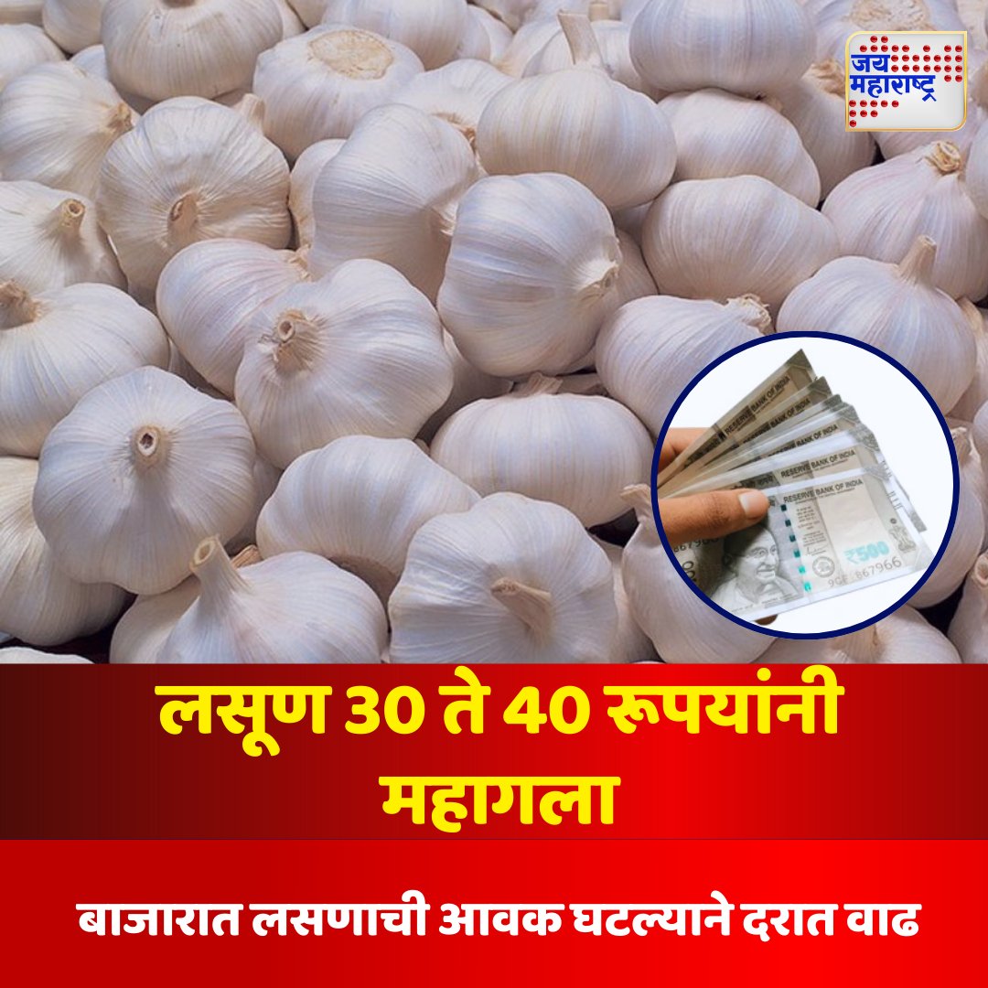 jaimaharashtran's tweet photo. लसूण 30 ते 40 रूपयांनी महागला
एपीएमसी बाजारात लसणाची आवक कमी
आवक घटल्याने दरात वाढ
#GarlicPriceHike #APMCMarket #GarlicSupplyDrop #VegetableRates #Jaimaharashtranews https://t.co/81C7Kei2vk