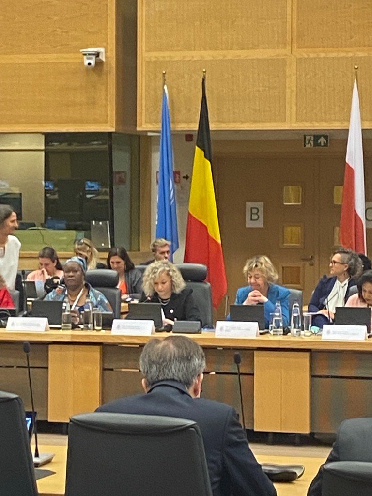 UN Women in Brussels (@unwomeneu) on Twitter photo 🎙️ A powerful message from this morning’s opening remarks
🇵🇱Polish Minister of Equality <a href="/KotulaKat/">Katarzyna Kotula</a> & 🇧🇪Véronique Petit from <a href="/BelgiumMFA/">🇧🇪 Belgium MFA</a> stressed that to turn the Women, Peace & Security agenda into reality political will is key. It's time to make this a reality.
#WPS25Brussels 🎙️ A powerful message from this morning’s opening remarks
🇵🇱Polish Minister of Equality <a href="/KotulaKat/">Katarzyna Kotula</a> & 🇧🇪Véronique Petit from <a href="/BelgiumMFA/">🇧🇪 Belgium MFA</a> stressed that to turn the Women, Peace & Security agenda into reality political will is key. It's time to make this a reality.
#WPS25Brussels