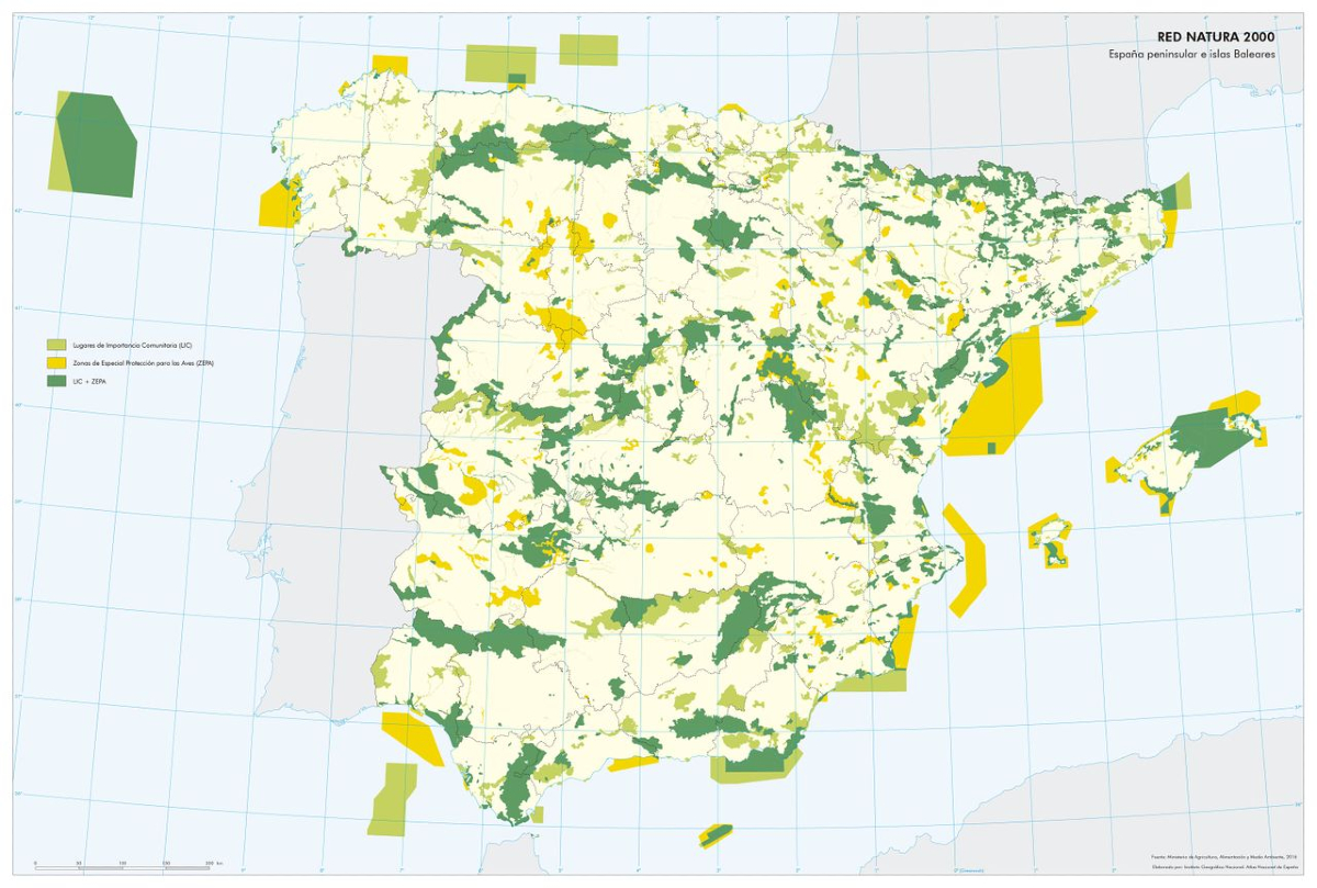 🌍 Hoy, 21 de mayo, celebramos el Día Europeo de la Red Natura 2000, la mayor red de espacios protegidos del mundo 🌿.

📌 España lidera su protección, con más de 22 millones de hectáreas, bajo espacios como "Zonas de Especial Protección para las Aves" y "Zonas Especiales de