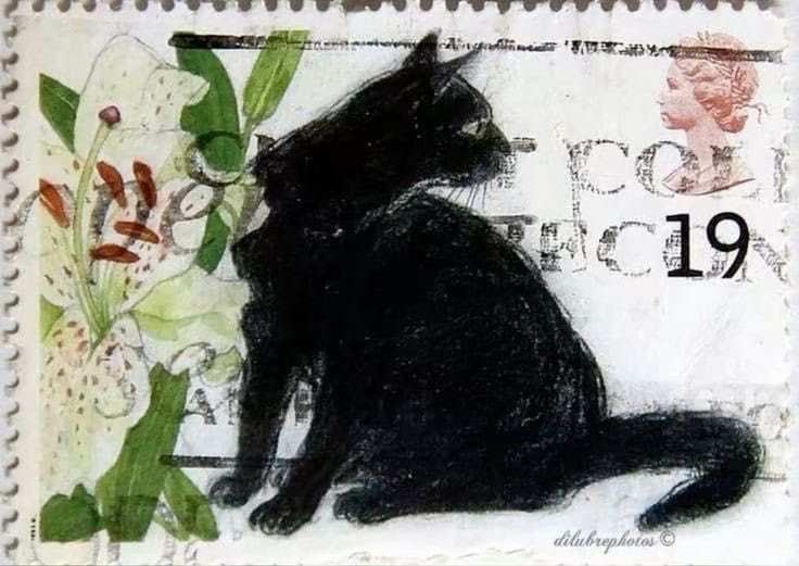 ˚ʚ♡ɞ˚ (@lovelycutedaily) on Twitter photo 