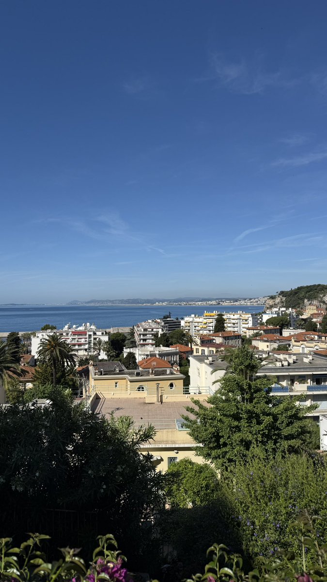 Luke Alexander tweet media