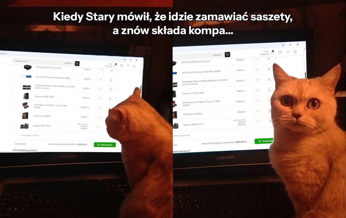 Wszystko w swoim czasie 😅