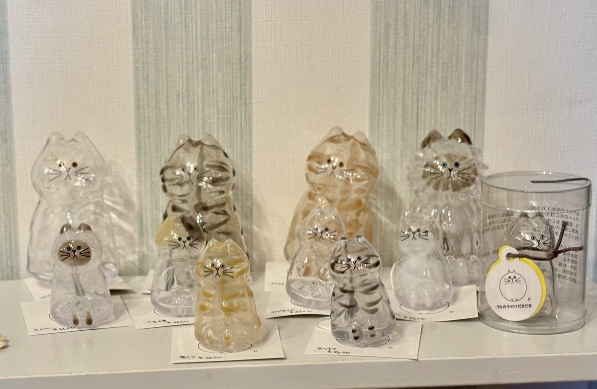 よろしくお願いします🐱