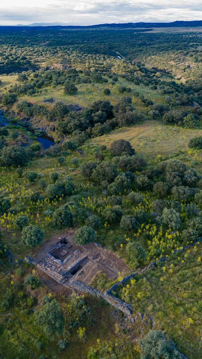 victorino_mh's tweet photo. Mirad que preciosidad de imágenes ha grabado @lord_floy, de la asociación Tamvsiens. Villasviejas/Tamusia (#Botija) en pleno esplendor primaveral. https://t.co/aKv9KItNTG