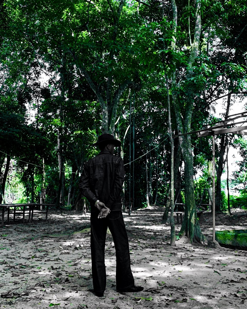 progressoficial's tweet image. IN or OUT •  23.5.25 •  NEW SINGLE