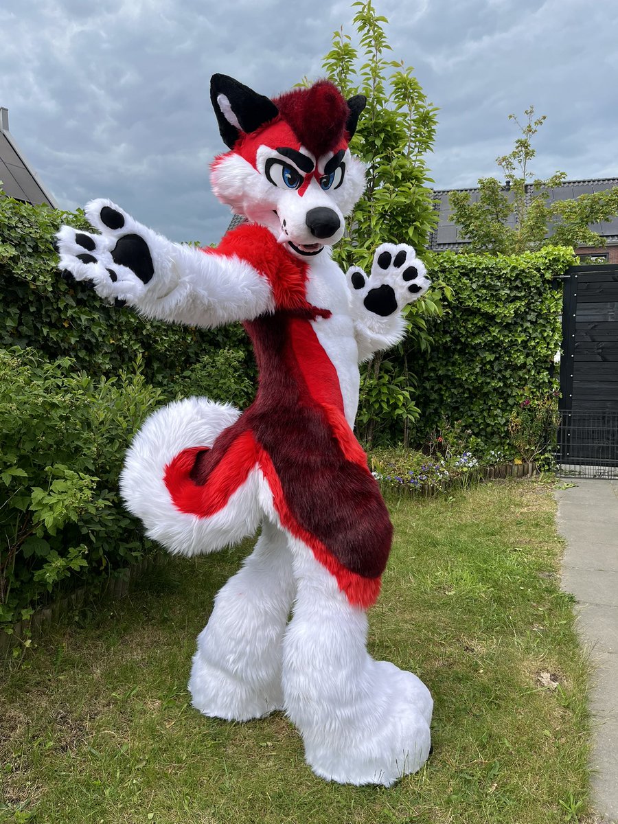 WeMightBite's tweet image. Some photos of Aspen