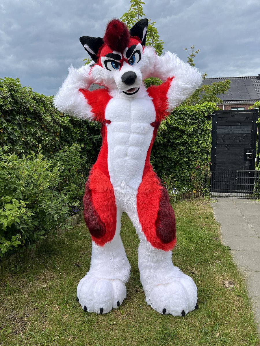 WeMightBite's tweet image. Some photos of Aspen