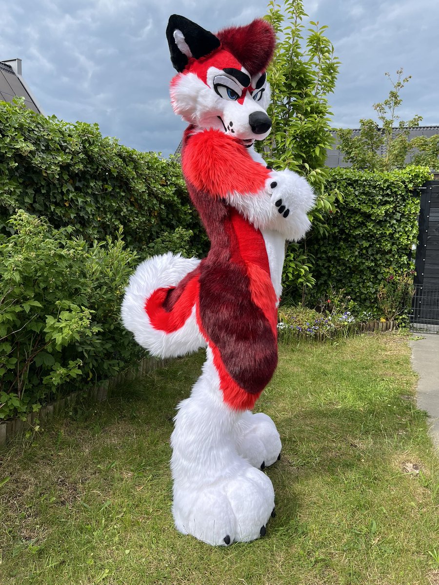 WeMightBite's tweet image. Some photos of Aspen