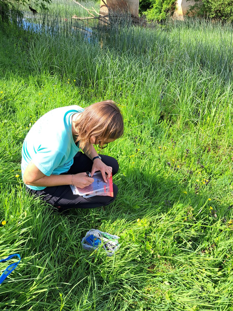 DinDRY Croatian Science Fundation project tweet media