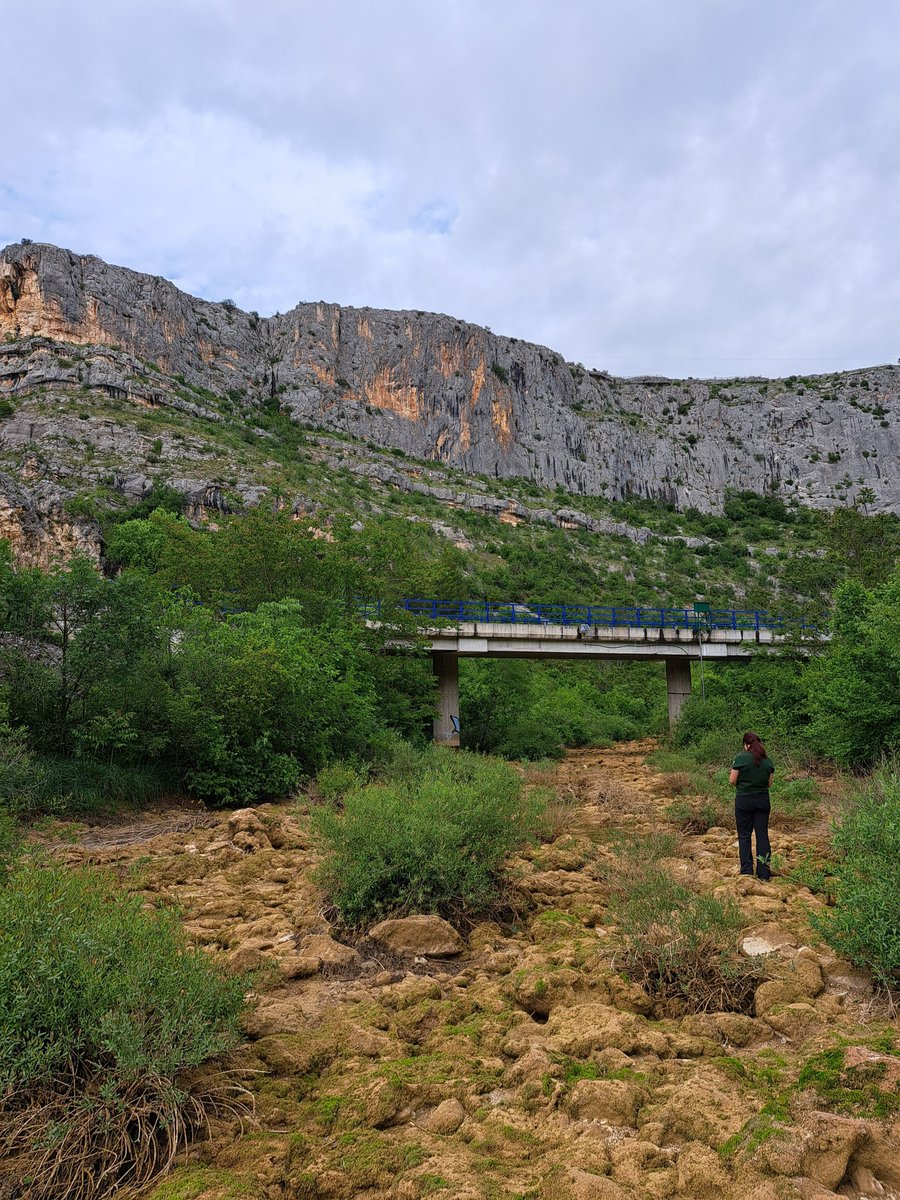 DinDRY Croatian Science Fundation project tweet media