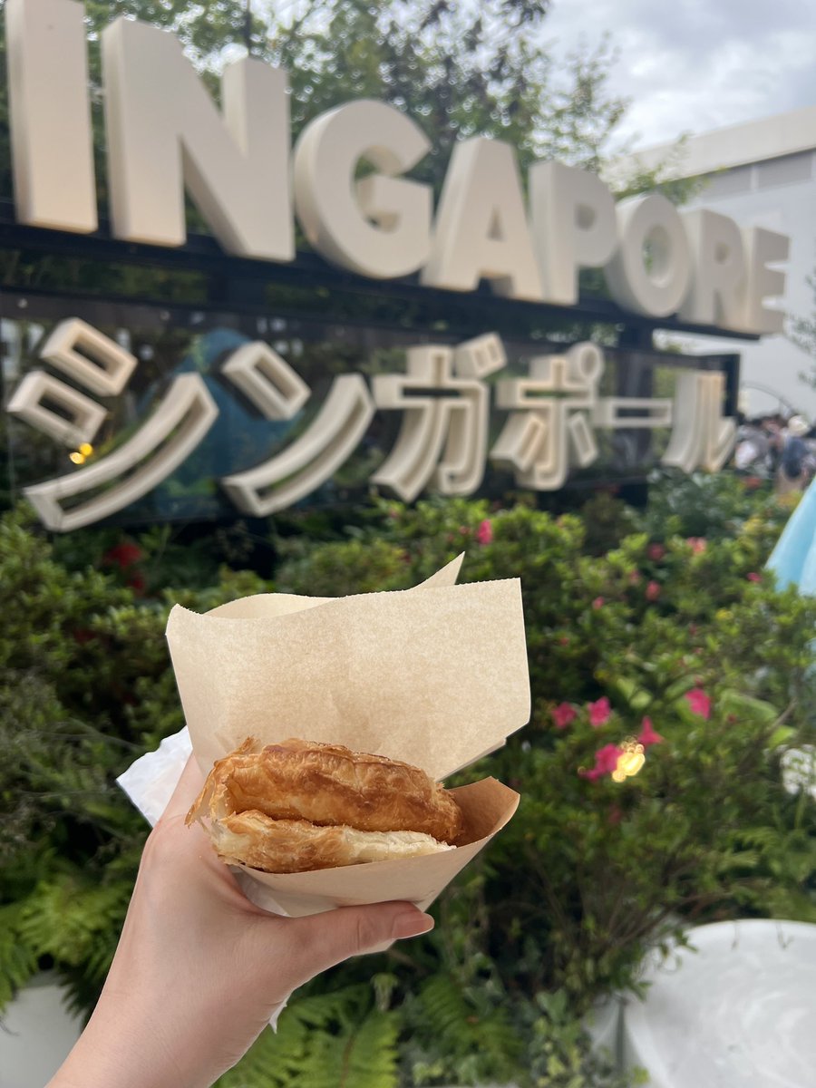 万博楽しかったー！！
段取り悪すぎてパビリオンは2つしか入れなかったし食べたい物はことごとく売り切れだったけどまた行きたい