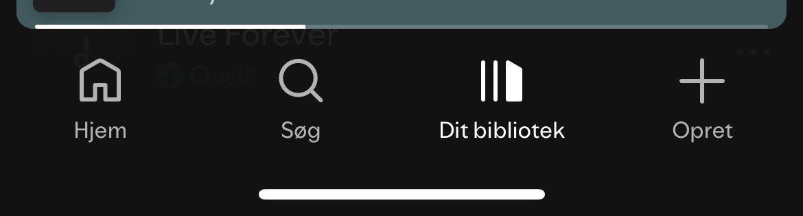 Magnus_Remvig tweet media