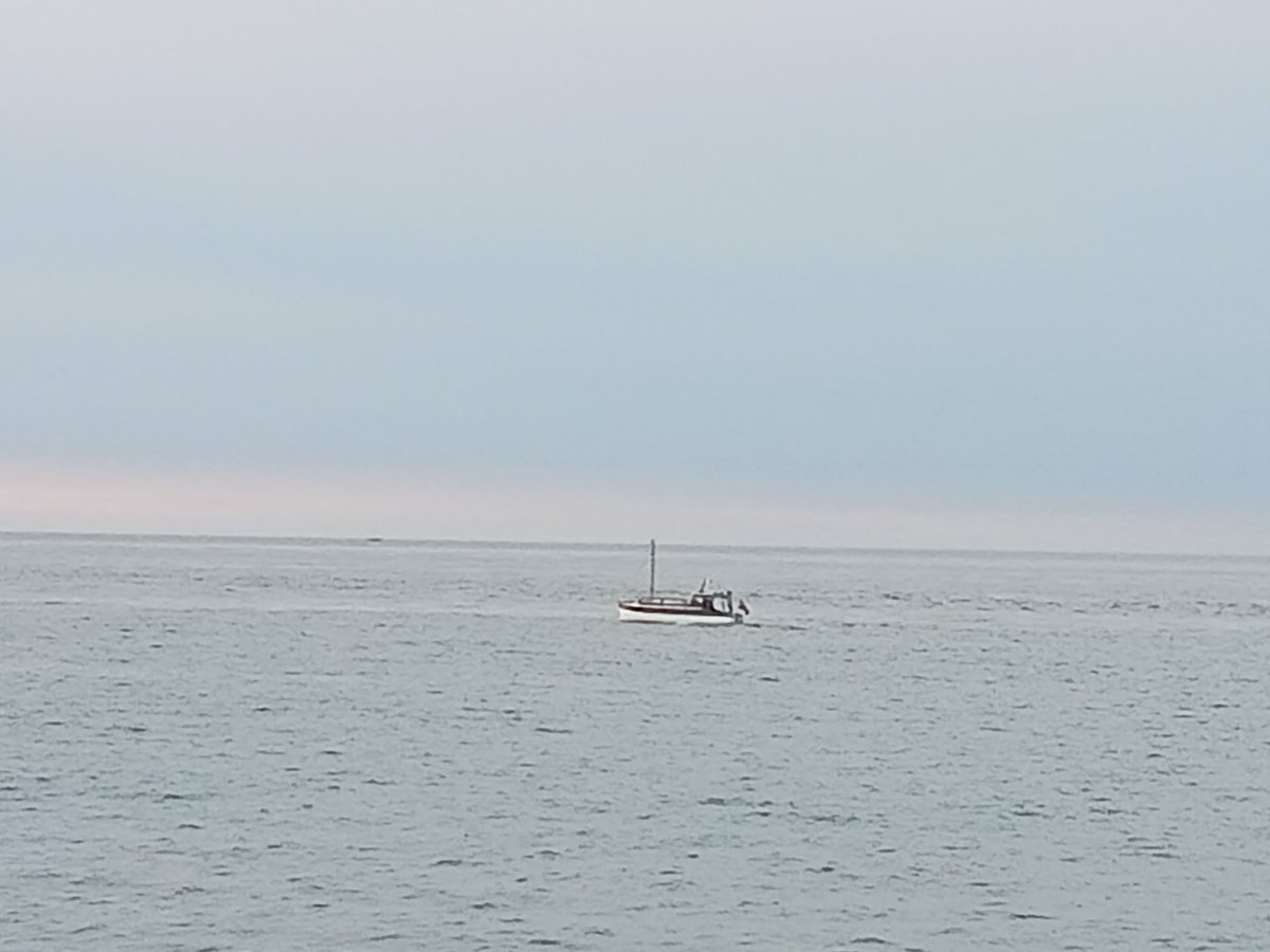 Mark Grant tweet media