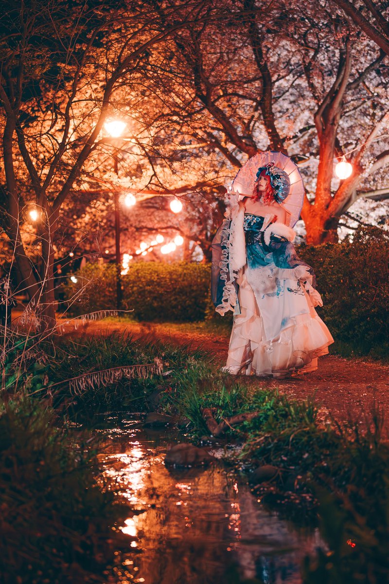 📸うおまささん@uomasa8556 夜桜ver.も🌸 #シェアマニ