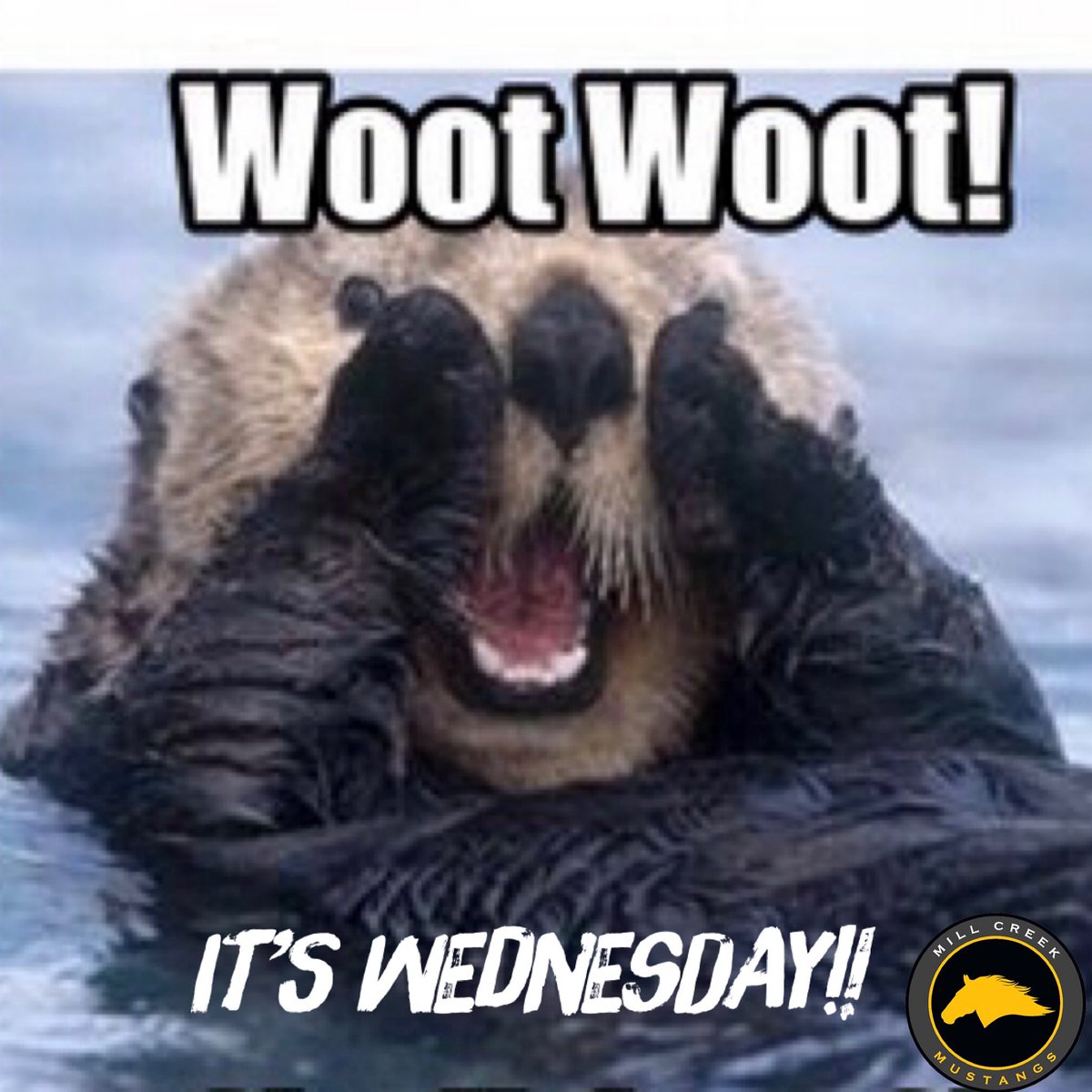 And the last full day of school!!! GM #MCMSMustangs!! BLACK SCHEDULED DAY! Lots of fun things going on - keep yourself in check so you don’t miss out!