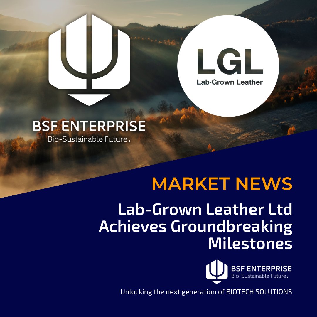 BSF Enterprise (@bsf_enterprise) on Twitter photo ๐๐ฎ๐ฏ-๐๐ฟ๐ผ๐๐ป ๐๐ฒ๐ฎ๐๐ต๐ฒ๐ฟ ๐๐๐ฑ ๐๐ฐ๐ต๐ถ๐ฒ๐๐ฒ๐ ๐๐ฟ๐ผ๐๐ป๐ฑ๐ฏ๐ฟ๐ฒ๐ฎ๐ธ๐ถ๐ป๐ด ๐ ๐ถ๐น๐ฒ๐๐๐ผ๐ป๐ฒ๐
BSF Enterprise PLC (LSE: BSFA) is pleased to share major progress from its wholly owned subsidiary, ๐๐ฎ๐ฏ-๐๐ฟ๐ผ๐๐ป ๐๐ฒ๐ฎ๐๐ต๐ฒ๐ฟ ๐๐๐ฑ (๐๐๐). The company has made ๐๐ฎ๐ฏ-๐๐ฟ๐ผ๐๐ป ๐๐ฒ๐ฎ๐๐ต๐ฒ๐ฟ ๐๐๐ฑ ๐๐ฐ๐ต๐ถ๐ฒ๐๐ฒ๐ ๐๐ฟ๐ผ๐๐ป๐ฑ๐ฏ๐ฟ๐ฒ๐ฎ๐ธ๐ถ๐ป๐ด ๐ ๐ถ๐น๐ฒ๐๐๐ผ๐ป๐ฒ๐
BSF Enterprise PLC (LSE: BSFA) is pleased to share major progress from its wholly owned subsidiary, ๐๐ฎ๐ฏ-๐๐ฟ๐ผ๐๐ป ๐๐ฒ๐ฎ๐๐ต๐ฒ๐ฟ ๐๐๐ฑ (๐๐๐). The company has made