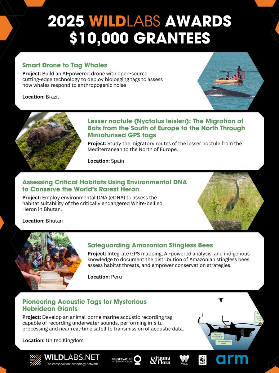 WILDLABSNET's tweet image. After reviewing 251 applications, it’s time to introduce the winners of the WILDLABS Awards 2025!

We&apos;re honoured to work with @Arm again to support and advance the adoption, scaling, &amp;amp; innovation of #conservationtech.

Learn more about the awardees here: wildlabs.net/article/announ…