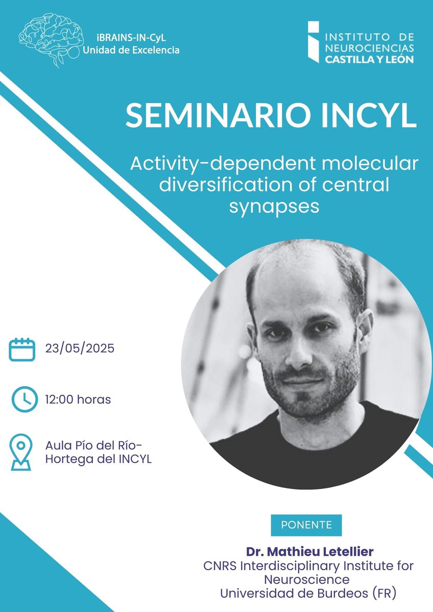 This Friday, we will have Dr. Mathieu Letellier at the <a href="/Incyl_Usal/">INCYL</a> giving a talk about plasticity and development. I’m sure it will be an incredible talk, so be sure you don’t miss it! institutoneurociencias.org/seminarios/sem…