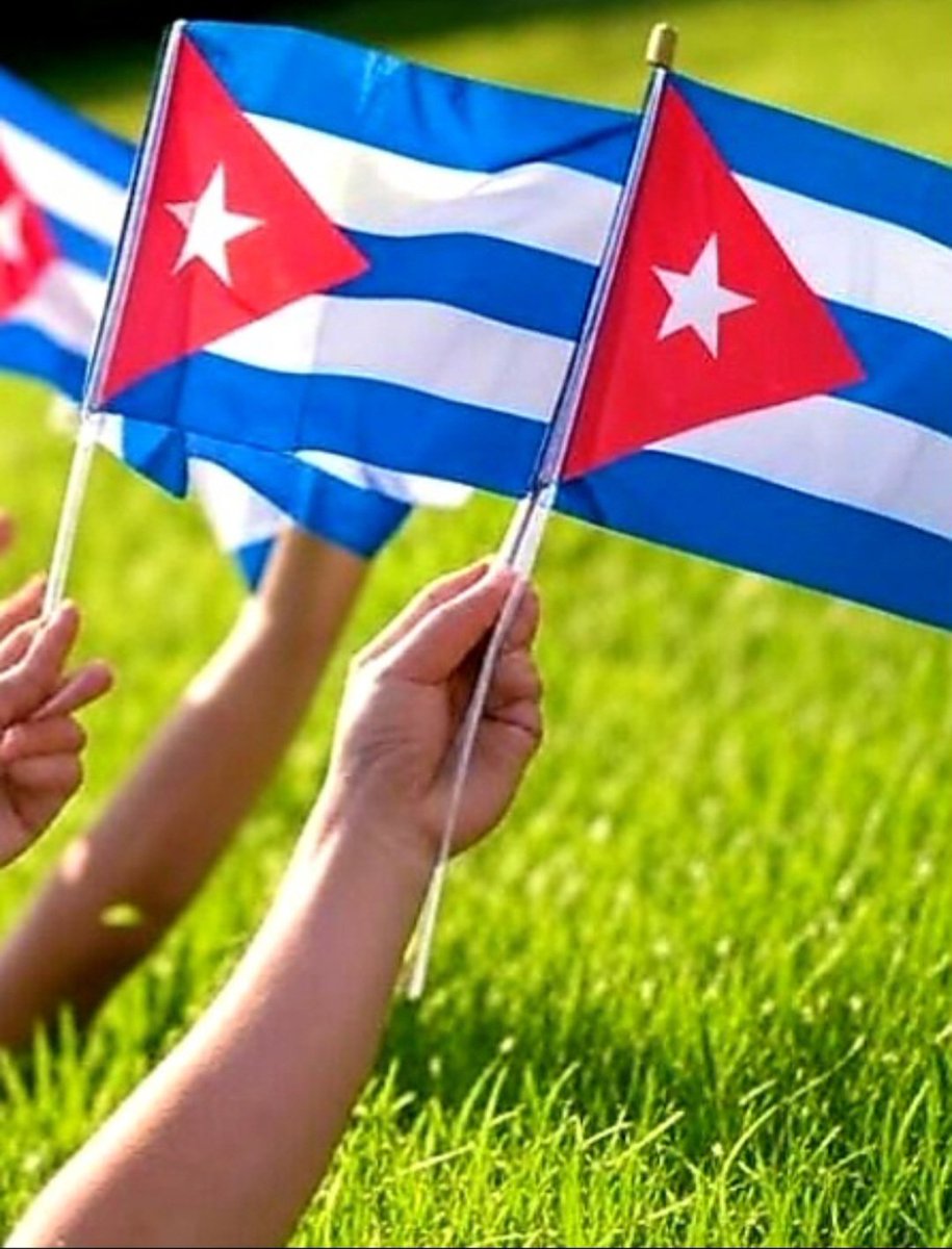 La bandera: guardiana de nuestra identidad.