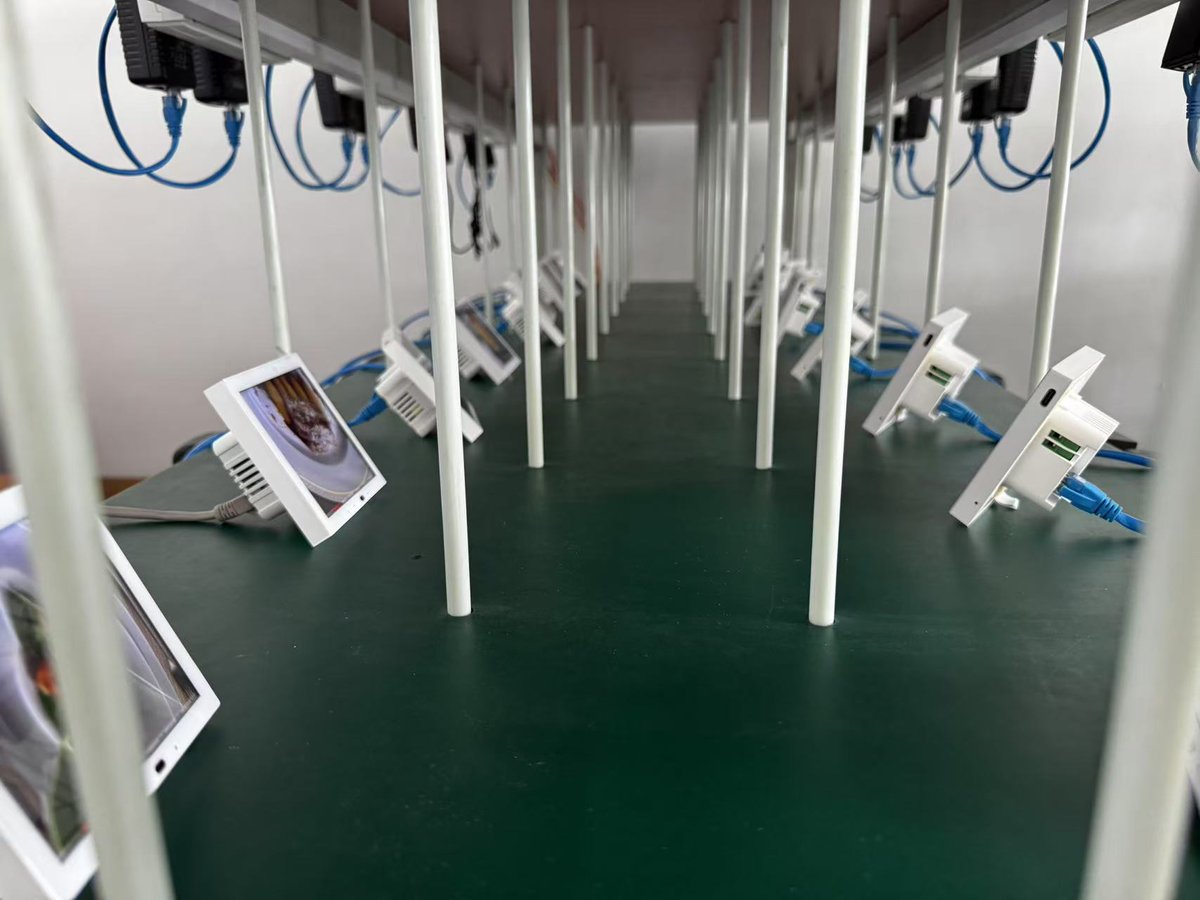 Portworldsolu's tweet image. The white SM41P is finally back in stock!
Thanks for your patience—we’ve completed aging tests and will start shipping to reserved clients soon.
Explore more: portworld-solu.com
Become a distributor: 
sales@portworld-solu.com
#SmartControlPanel #Portworld