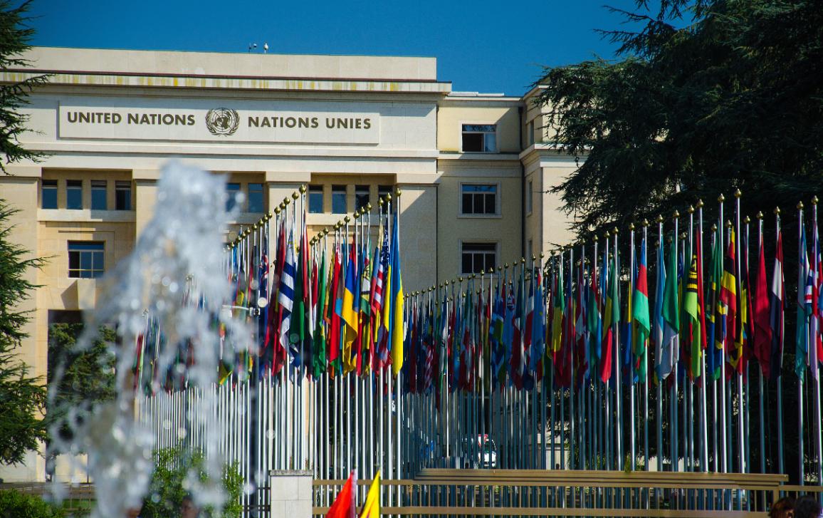 DROI Committee Press (@ep_humanrights) on Twitter photo 🆕 On 19 and 20 May, <a href="/EP_HumanRights/">DROI Committee Press</a> MEPs visited UN human rights bodies and other international organisations in Geneva.
➡️ Find out more in our press release: europarl.europa.eu/news/en/press-… 🆕 On 19 and 20 May, <a href="/EP_HumanRights/">DROI Committee Press</a> MEPs visited UN human rights bodies and other international organisations in Geneva.
➡️ Find out more in our press release: europarl.europa.eu/news/en/press-…