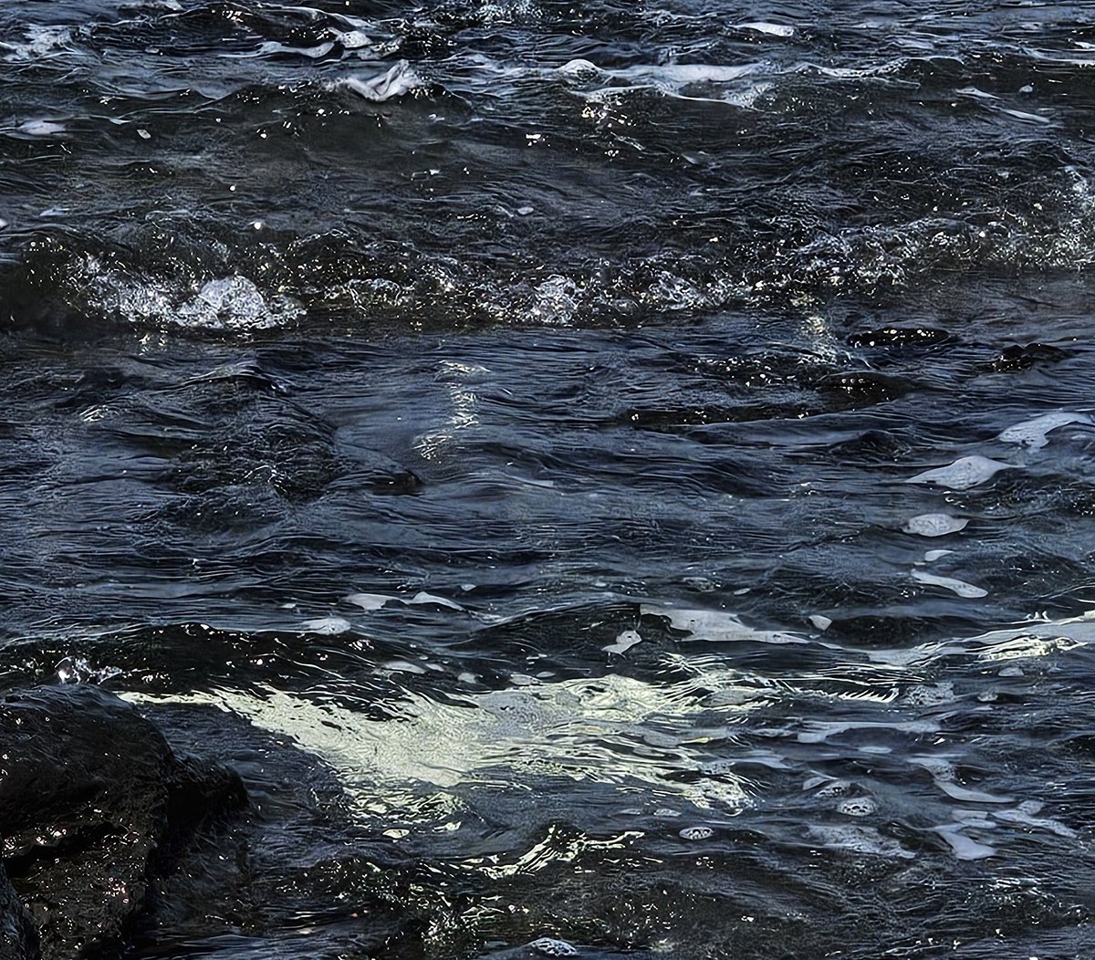 SH40UT's tweet photo. 🌊 https://t.co/BpE1ls1NaC
