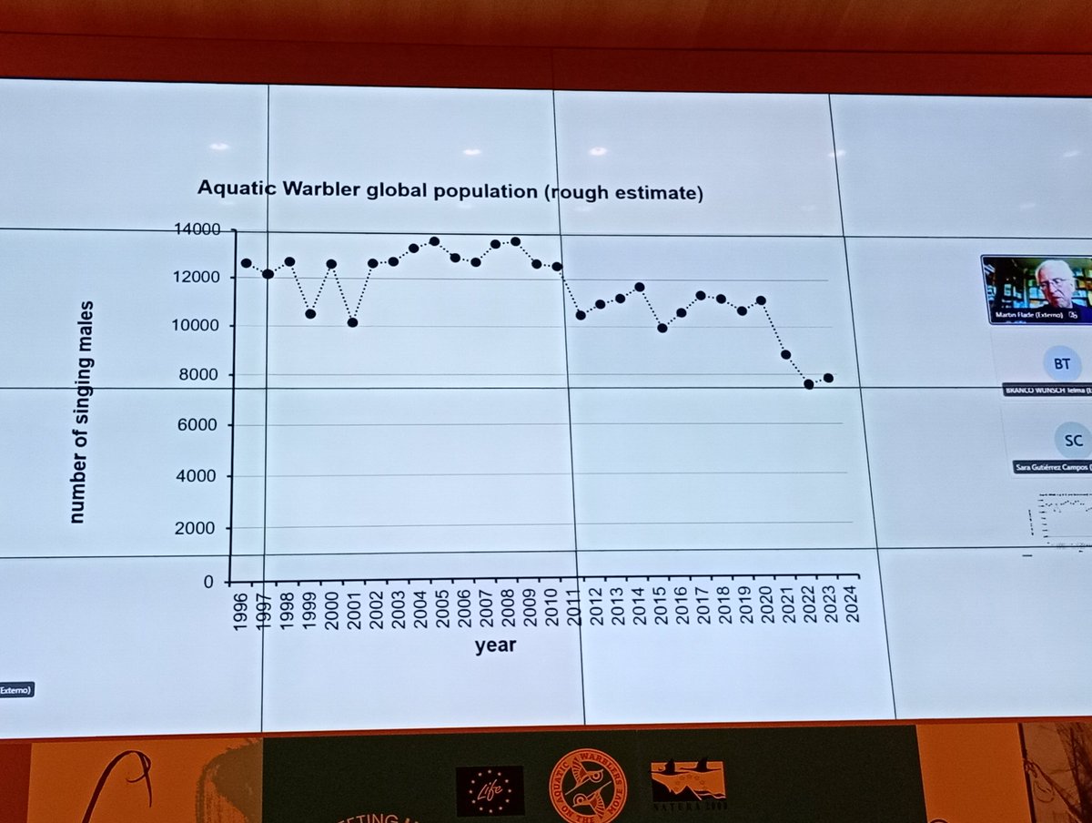 Shocking news on the global population of Aquatic Warblers ! Perhaps only 8,000 singing males remain. #LIFE_AWOM cinea.ec.europa.eu/news-events/ev…