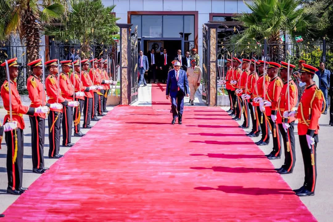 WADDANI PARTY tweet media